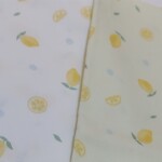【受注販売】れもん