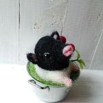 タライに入ったミニ豚ちゃん