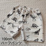 恐竜柄　ハーフパンツ　100cm　ポケットつき　半ズボン