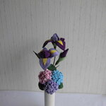 菖蒲と紫陽花の花