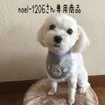 犬用スタイ・お名前スタイ