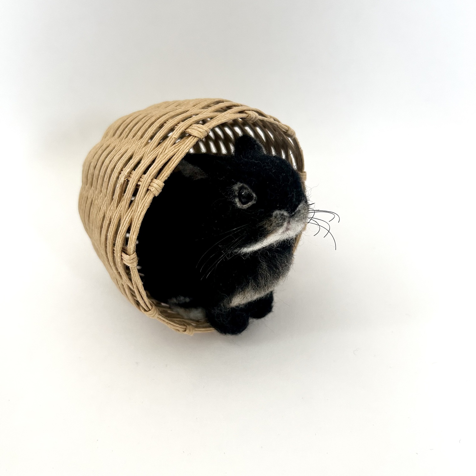 うさぎ 羊毛フェルト ふわふわ もふもふ ライオンラビット