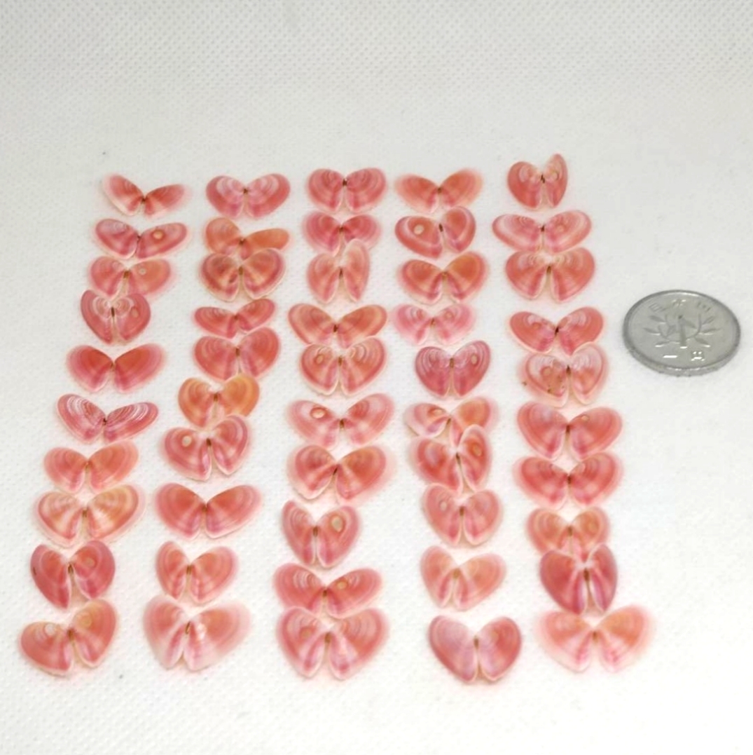 シーグラスランプ 大 ホワイト - puqoo227 | minne byGMOペパボ