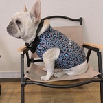 オーダー犬服 接触冷感 ラッシュガードタンク レオパード