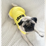 選べる名入れ犬服 UVカット 涼しいタンクトップ イエロー
