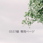 0537様 専用ページ