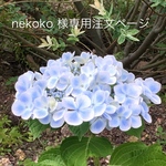 nekoko様専用注文ページ