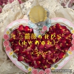小さなミニ薔薇の花びら3gセット（小さめのみ）★花弁ドライフラワー★ミニローズ★お得用セット