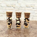 限定　ガラスボトルに入った2種類のシェルクッキー