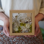 フレームフラワー Mini Boxgarden