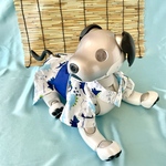 浴衣白地きょうりゅう柄