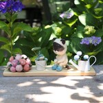 ねことカエル