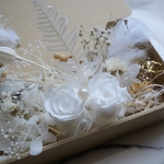 夏のホワイトホワイト貝殻入り＊ハーバリウム 花材ドライフラワー  花材セット