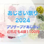 【 数量限定＆期間限 】あじさいまつり2024　プリザーブドあじさい4点で1100円　