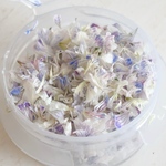  【パープル系】かすみ草の花びらセット