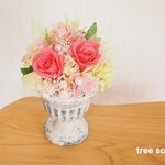 pink rose ③
