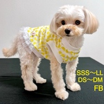 【犬服】犬クール服　犬接触冷感　犬ウェットクール　犬夏服　バナナ柄