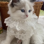 ペット用レーススカーフXSサイズ　犬・猫・小動物　　スタイ