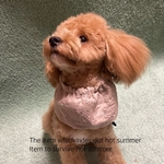 犬服　わんこ　ラッフル　スリーブ　タンクトップ　犬用　ドッグウェア