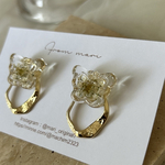 立体的　butterfly𓂃 𓆸 ⡱  