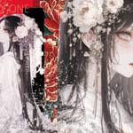 デザインペーパー　JAPANESE GIRL DP2