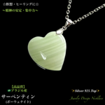 💚サーペンティン(ボーウェナイト)✨Silver925Top✨ジュエリー天然石ネックレス💫一点物❗️