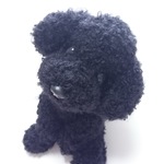 あみぐるみ 犬(黒プードル27cm)