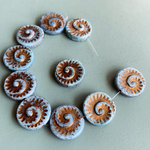 【2コセット】JIRI＊IVANA#czech beads#チェコビーズ　ancient fossils 古代の化石　ammonite17㍉　aqua blue/copper