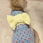 犬服★ 浴衣　ダックス　リボン柄