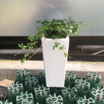 mickl様専用です