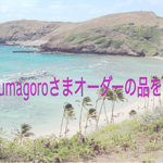 kumagoroさまオーダーの品