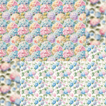 【50枚】ゆめいろあじさい🌞In the Light