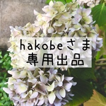 hakobeさま専用出品