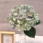 オーダー様専用　布花   飾る布花　紫陽花　1276 再販希望不可