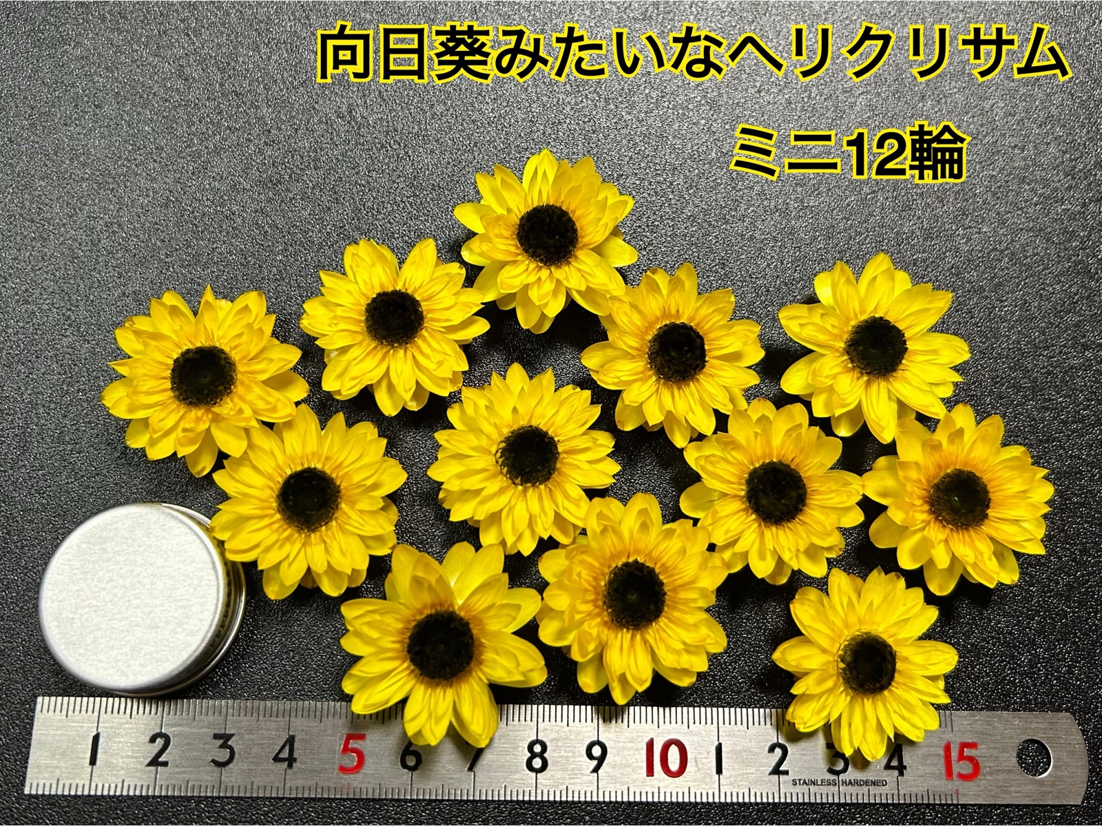 向日葵みたいなヘリクリサム ランダム9輪 マーガレットみたい向日葵みたいなスターフラワーミニ各10本 - ~アリア