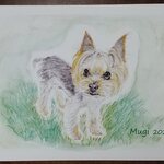 【pon182様オーダー品】愛犬イラスト