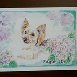 【meme-1014様オーダー品】愛犬イラスト