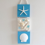シェル スターフィッシュ 三連壁掛け