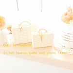 お客様ご依頼商品です‎٭¨̮ minimini trunk   8.5cm 6.5cm set white