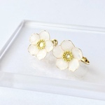 夏椿（ナツツバキ）の花のひとつぶイヤリング／ピアス　シアーホワイト