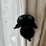 よじ登る子猫(黒猫青目　MAY.1.2024)