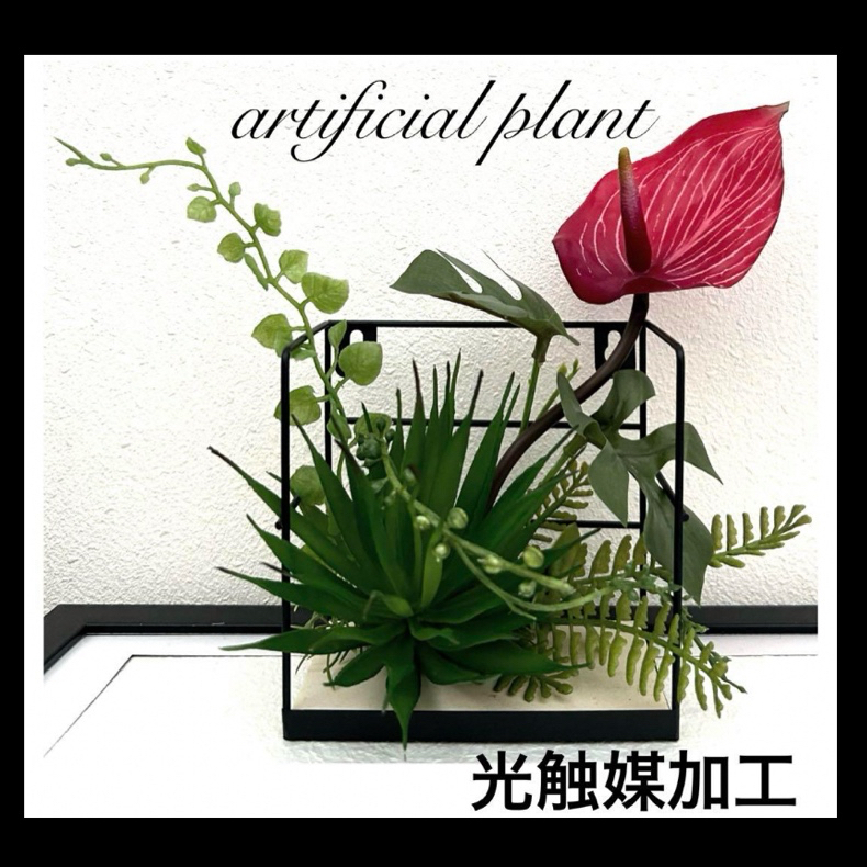 光触媒加工　抗菌消臭ウォールグリーン　board NO.29.30 楽天市場】観葉植物 空気清浄 壁掛け インテリア 光触媒 消臭