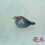 ●豆鳥シリーズ●アカガシラカラスバト