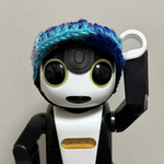 RoBoHoN（ロボホン）用 手編み帽子（オンリーワン！カラフルニット01）