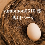 sumomon0510専用ページ