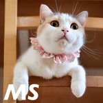 猫首輪《MS》リバティ  ティリー  ピンク