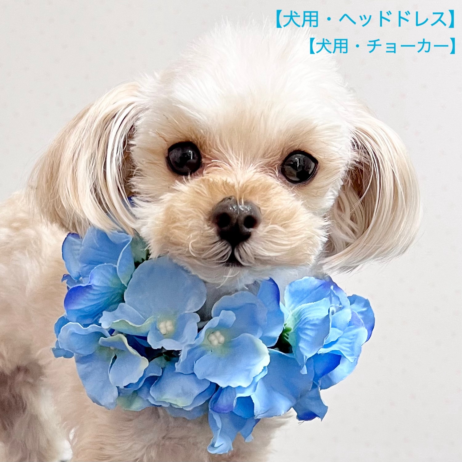 【214】 犬用チョーカー トリミングリボン お名前チューリップMIX 200個 214】 犬用チョーカー トリミングリボン お名前チューリップMIX