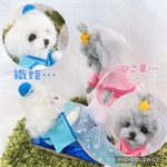 ♡kogonta様専用ページ♡  七夕
