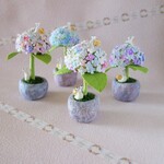 遅咲きの紫陽花こんまりプランター〈梅雨色鉢〉