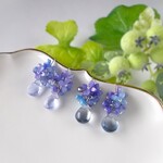 紫陽花ピアス（イヤリング）　朝露・夜露